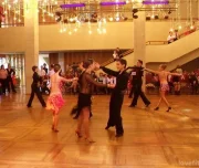 школа танцев танцмейстер-бегония изображение 4 на проекте lovefit.ru
